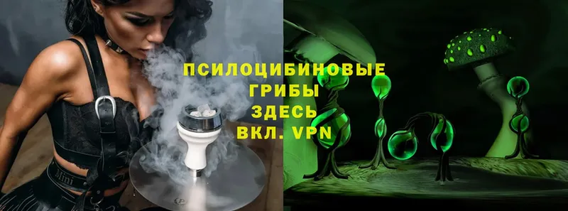 Галлюциногенные грибы Magic Shrooms  сколько стоит  Коломна 